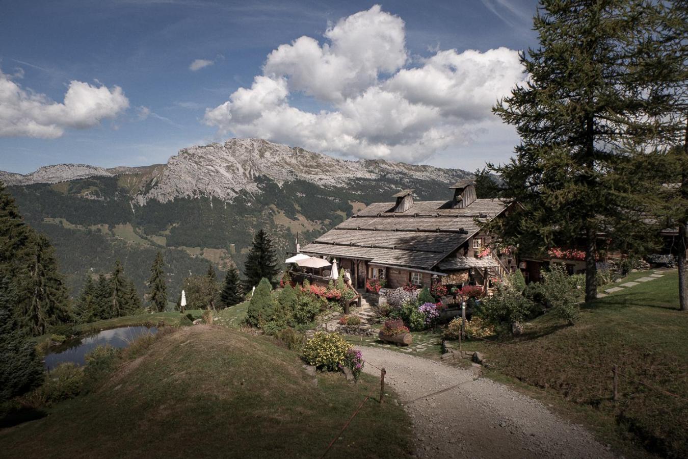 Отель La Ferme Des Vonezins Тон Экстерьер фото